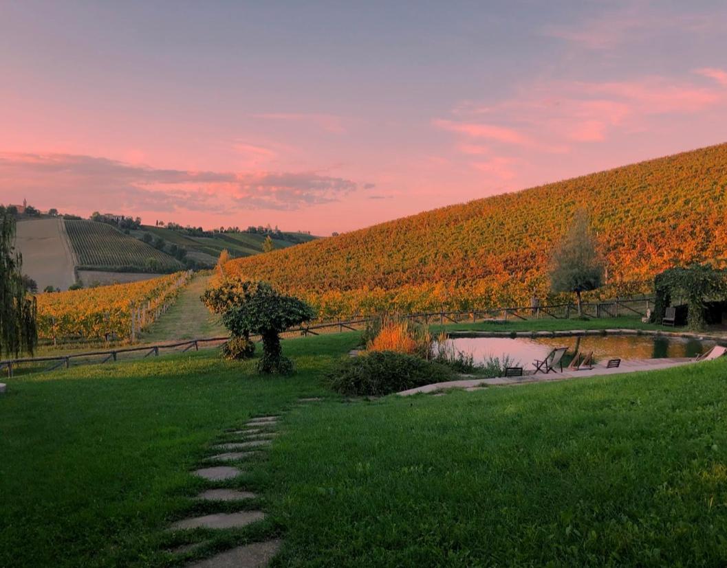 Corte D'Aibo Monteveglio المظهر الخارجي الصورة