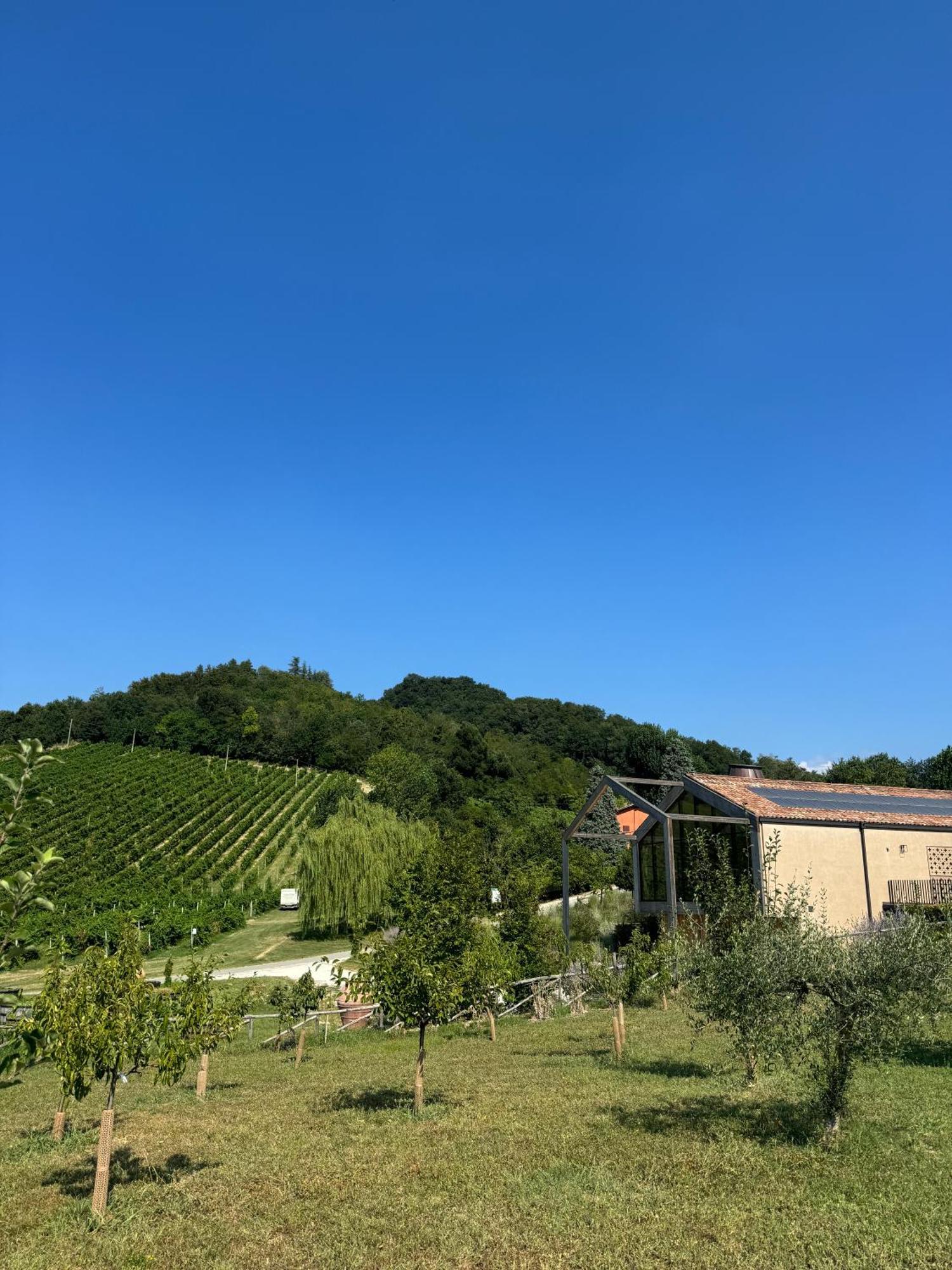 Corte D'Aibo Monteveglio المظهر الخارجي الصورة