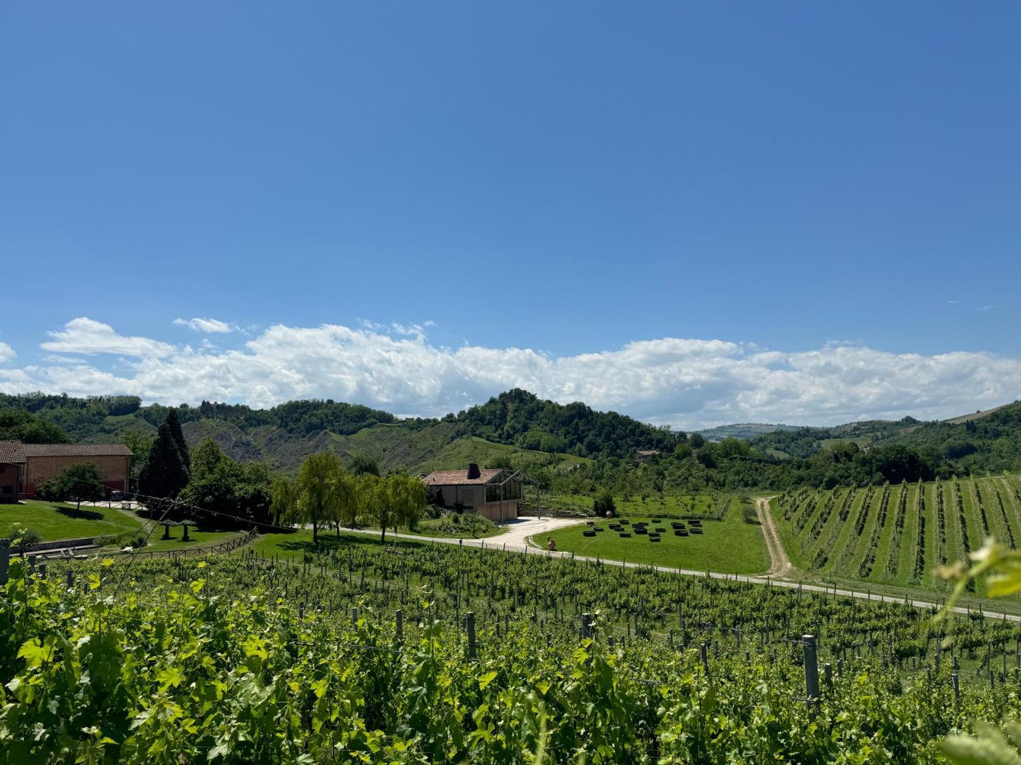 Corte D'Aibo Monteveglio المظهر الخارجي الصورة
