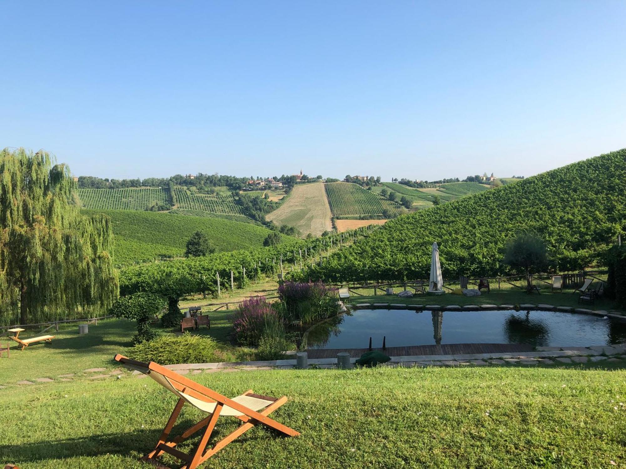 Corte D'Aibo Monteveglio المظهر الخارجي الصورة