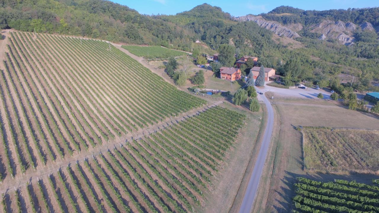 Corte D'Aibo Monteveglio المظهر الخارجي الصورة